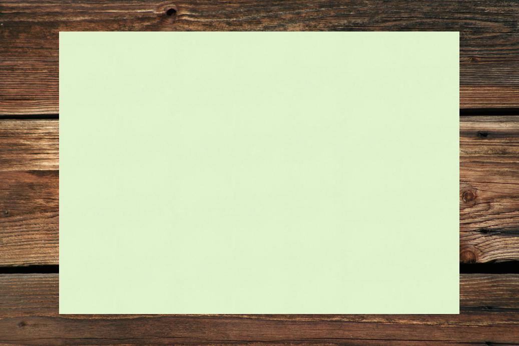 Einzelkarten A4 210x297 mm Hellgrün 230 g/qm